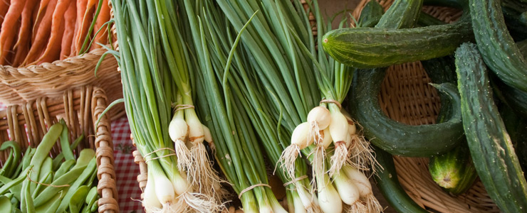 produce from UCSC Farm