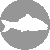 Fish Icon