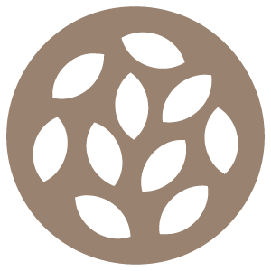sesame.png